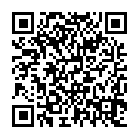 QR code for plate 1XR Q95