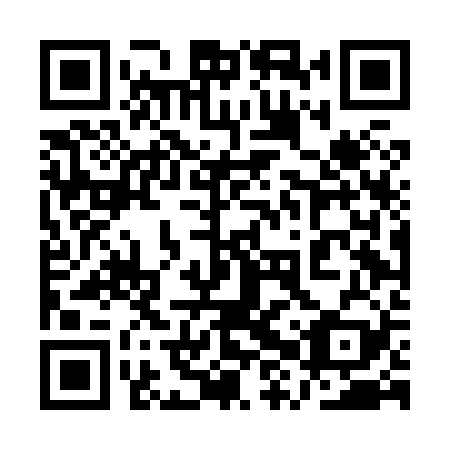 QR code for plate 1XT H29