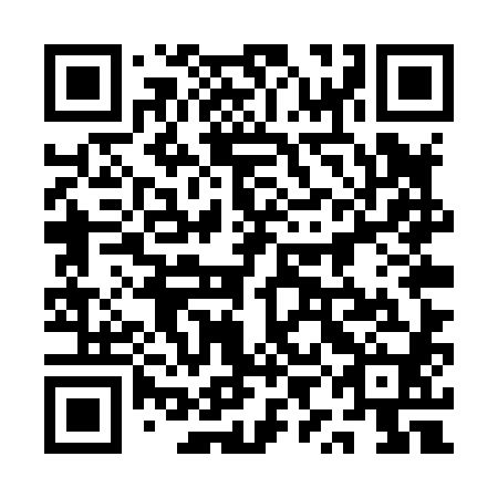 QR code for plate 1YE X80