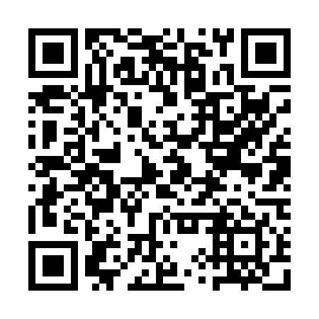 QR code for plate 1YV 049