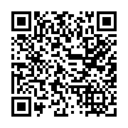 QR code for plate 1Z5 336
