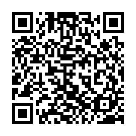 QR code for plate 1ZG C41