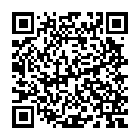 QR code for plate 20A 041