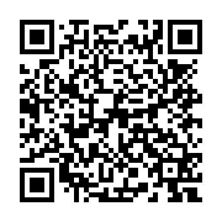 QR code for plate 20A NV0
