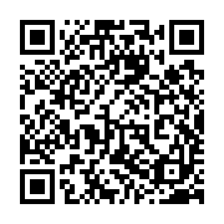 QR code for plate 20B W93