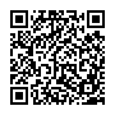 QR code for plate 20C 666