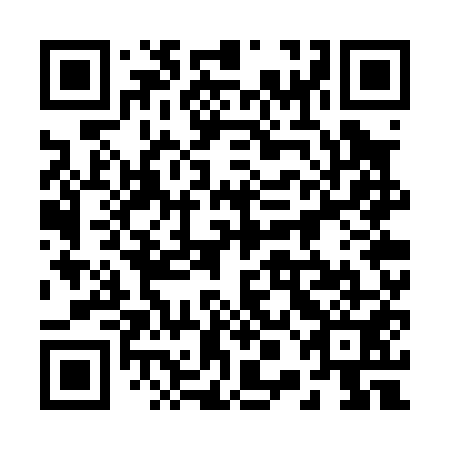 QR code for 20G P51