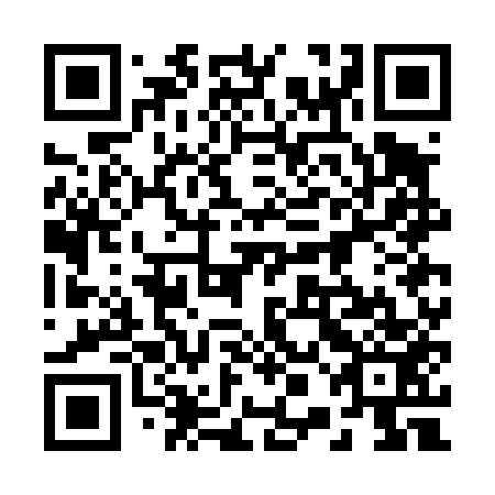 QR code for plate 20G D53