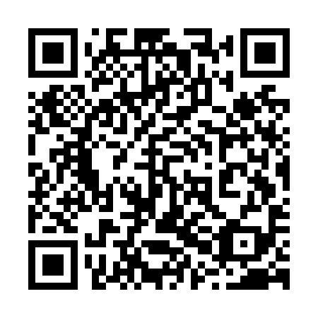 QR code for plate 20G N99