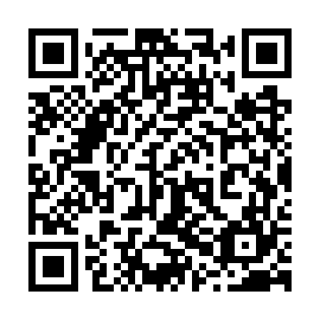 QR code for plate 20G WV4