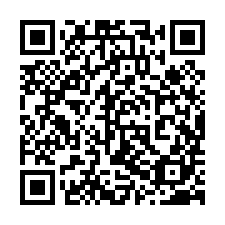 QR code for 20H P80