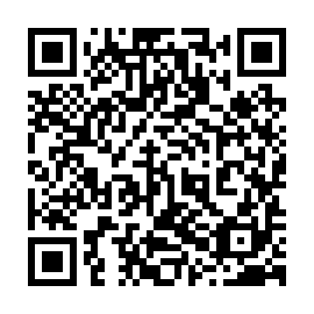 QR code for 20K 290