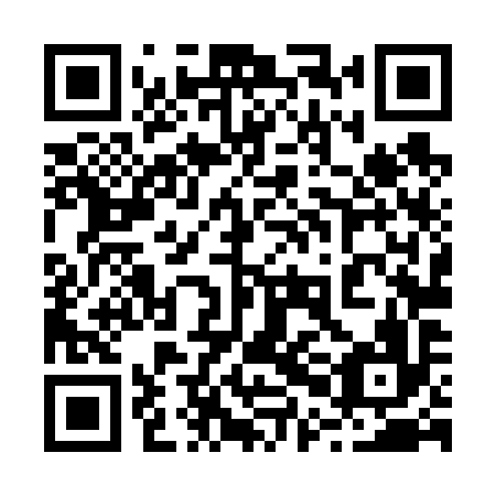 QR code for plate 20L 696
