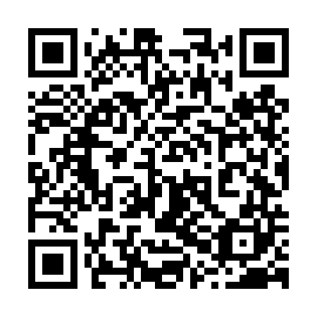 QR code for plate 20N DT0