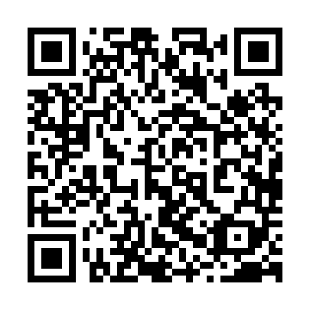 QR code for 20P 249