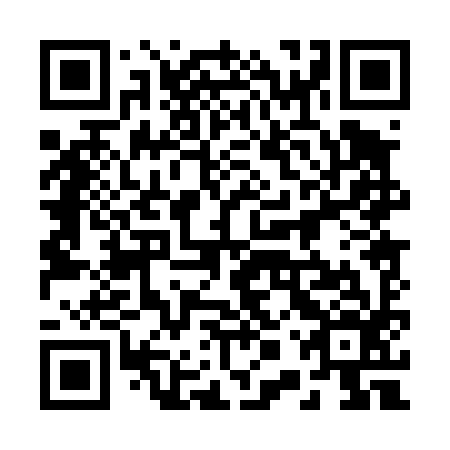 QR code for 20P 496