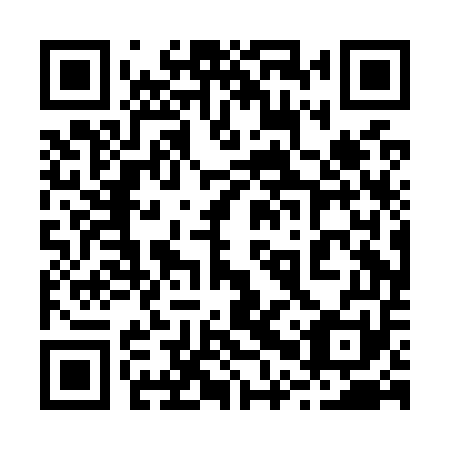 QR code for 20P O51