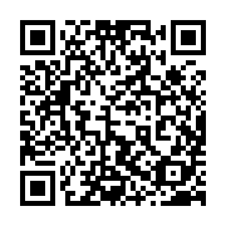 QR code for plate 20P Y88