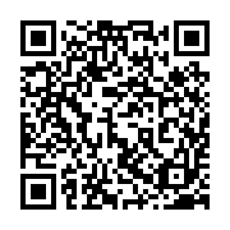 QR code for 20Q 293