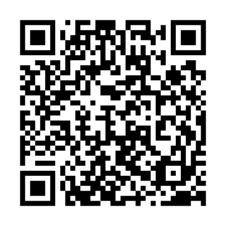 QR code for 20Q G13
