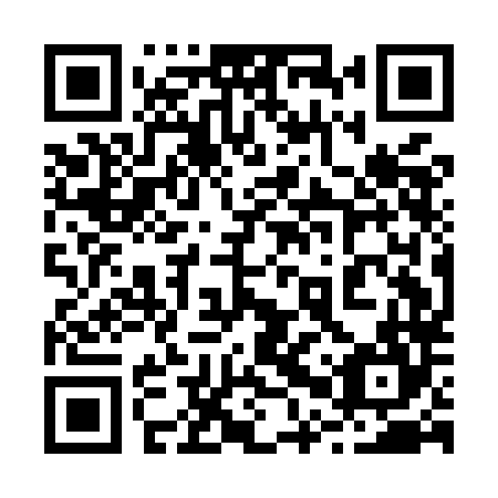 QR code for 20Q ML4