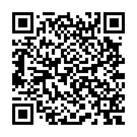 QR code for 20S P51