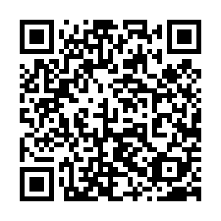 QR code for 20T 409