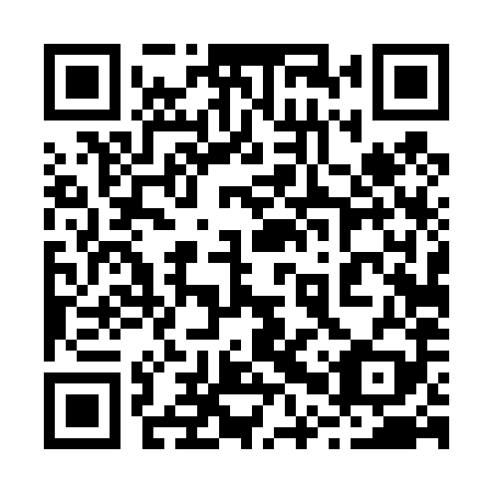 QR code for plate 20T 489