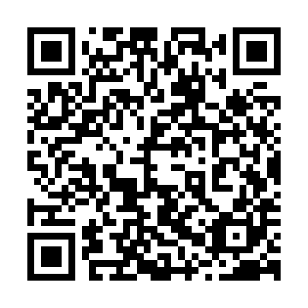 QR code for 20W Z80
