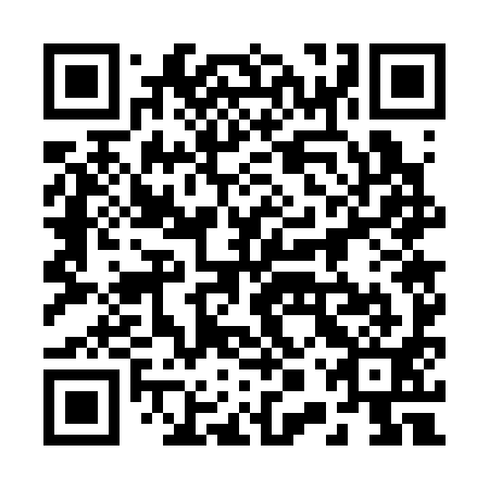 QR code for plate 20W 391