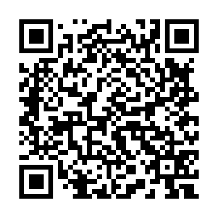 QR code for plate 20W H75