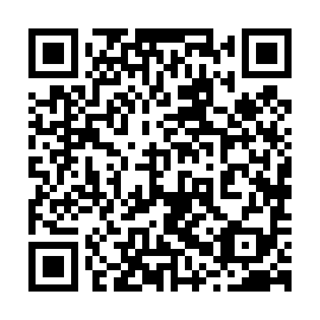 QR code for 20X 499
