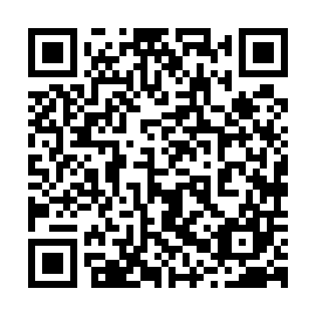 QR code for plate 20X 507