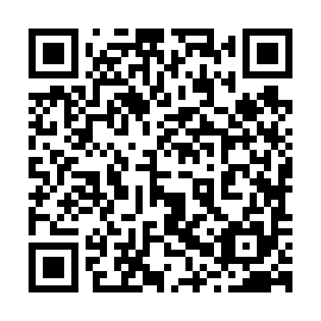 QR code for 20Z695