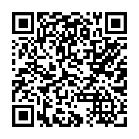 QR code for 21D295