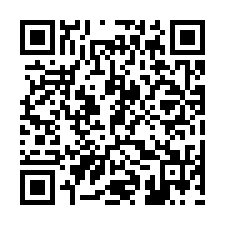 QR code for plate 21P 331