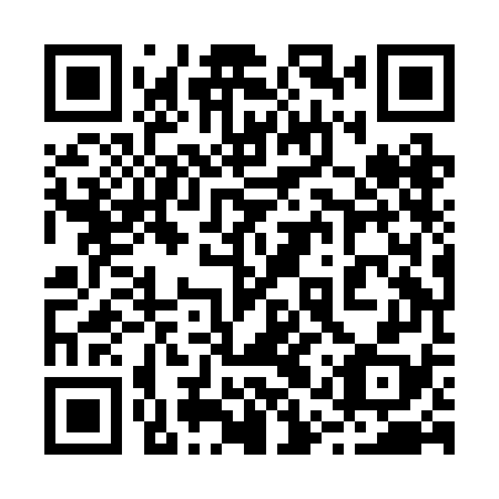 QR code for plate 21X BG8