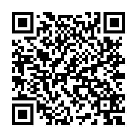 QR code for plate 22H XR9