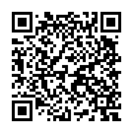 QR code for plate 22M 453
