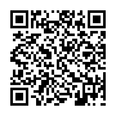 QR code for 22P VI1