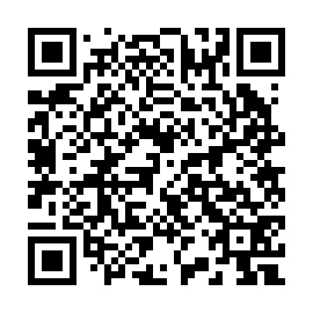 QR code for plate 22R 272