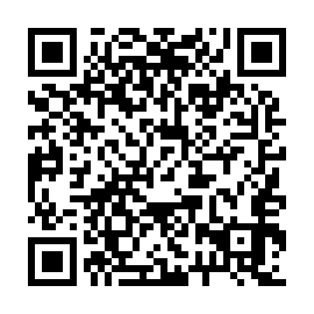 QR code for plate 22T 953