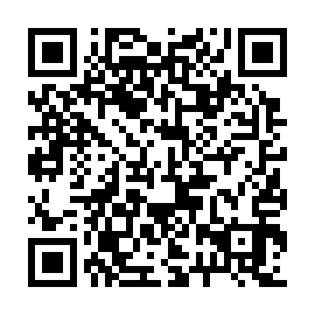QR code for 22V 313