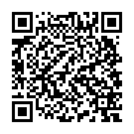 QR code for plate 22V 668