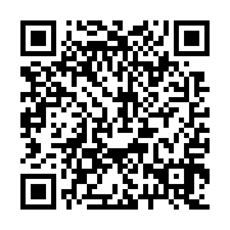 QR code for plate 22V W17
