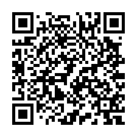 QR code for 22W P11