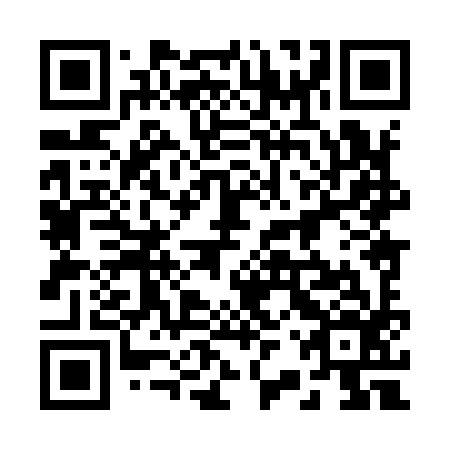 QR code for plate 22X 996