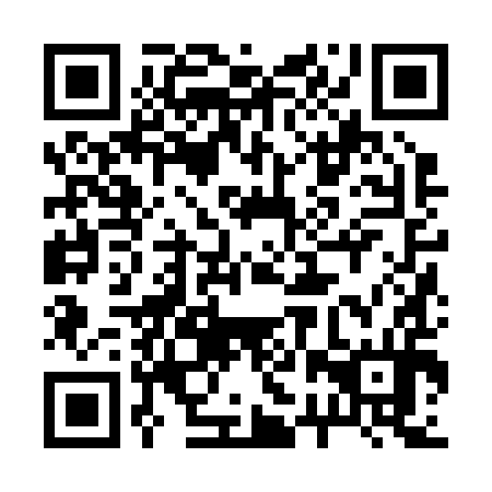 QR code for 22Z 294