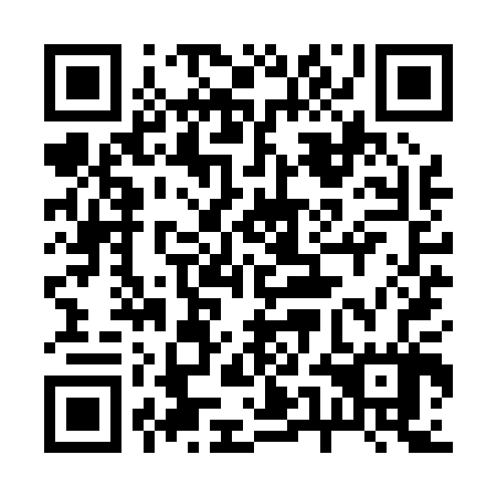 QR code for 25IP07