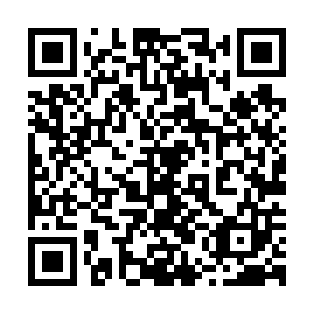 QR code for plate 25L 603